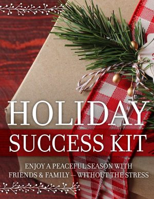 cover image of holiday success kit including close up of brown paper package tied with red plaid bow.