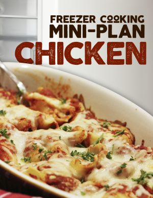 cover image of freezer cooking mini plan.