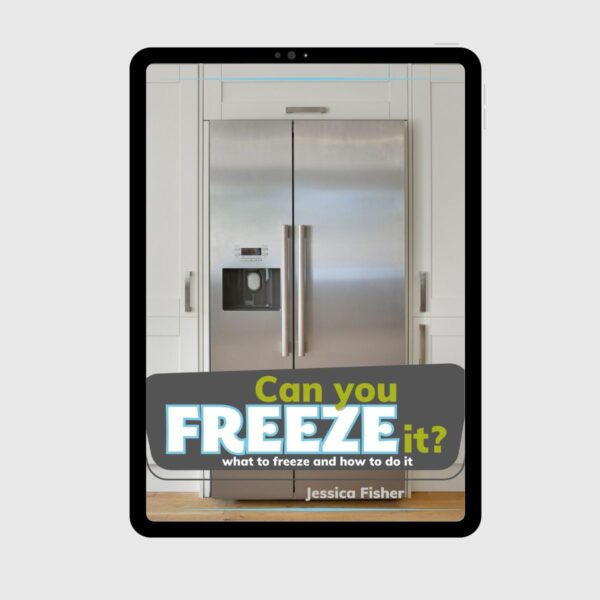 cover image of can you freeze it on a tablet.